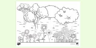 Flowers the above drawings courtesy of: Free Flowers Colouring Pages Primary Flower Colouring In