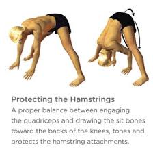 They've been particularly typical in athletes who be involved in sports that want sprinting, such as track, soccer, and. Healing Or Preventing Hamstring Injuries