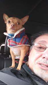 Kids' baby reunited with family after rescue