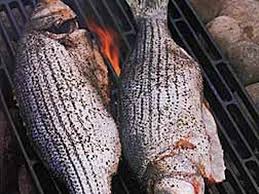 We did not find results for: 10 Best Grilled Striped Bass Recipes Yummly