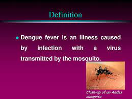 Aedes albopictus, a secondary dengue vector in asia, has spread to more than 32 states in the usa, and more than 25 countries in the european region, largely due to the international trade in used tyres (a breeding habitat) and other goods (e.g. Dengue Fever Heshu Sulaiman Rahman December Ppt Download