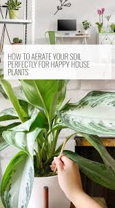 This prepares the way for air, water and nutrients to penetrate the soil. How And Why To Aerate The Soil In Your Potted Plants Plants House Plants Soil Aeration
