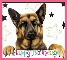 Birthday Wishes In German Images Happy Birthday Images With German Shepherd Happy Birthday Dog Happy Birthday Images Happy Birthday Cards