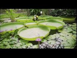 Botanischer garten der universität in der kategorie.düsseldorf noch keine erfahrungsberichte. Gartenimpulse Botanischer Garten Jena Youtube