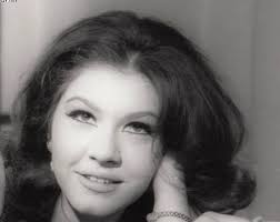 egyption actress shwykar شويكار egyptian actress egyptian beauty egyptian movies