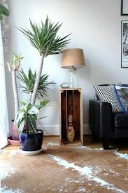 12 der schönsten großen zimmerpflanzen fürs wohnzimmer. Yucca Palme 26 Fantastische Bilder Zur Inspiration Archzine Net