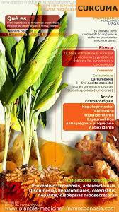 Pin De Eduardo David Gonzalez Bermejo En Plantas Medicinales Farmacognosia Propiedades De La Curcuma Curcuma Beneficios Nutricion