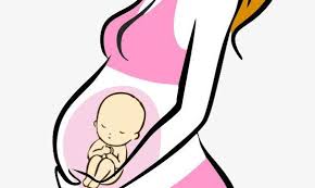 Las imágenes de medio centenar de bebés concebidos mediante gestación subrogada «varados» en un hotel de kiev han dado la vuelta al mundo durante las últimas horas. Pin En Arte