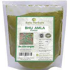 Nela usiri (phyllanthus niruri ). Buy 2 X Balu Herbals Bhuamla Nela Usiri Powder 100g Online In Turkey B07pyjvrz9