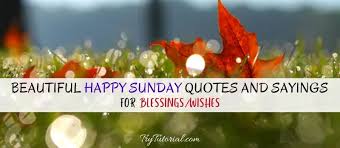 We did not find results for: 60 Beautiful Happy Sunday Quotes And Sayings Blessings Wishes 2021 Trytutorial