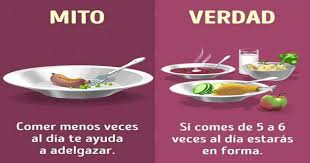 Resultado de imagen de 5 comidas al dia mito
