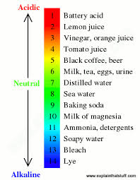 The Ph Scale From 1 To 14 With Everyday Examples Tomato