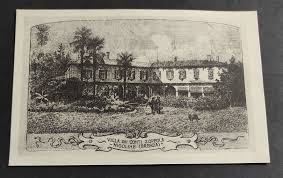 Cartolina Nigoline (Brescia) - Villa dei Conti Zoppola