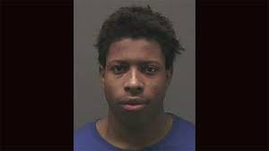 Warrant Issued for Suspect in Mississauga Theft