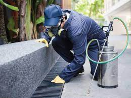 Here at pest control coburg, our professionals are equipped with the most powerful machines and pesticides and such helpful types of things make us able to give you exceptional services. Cheap Pest Control Coburg Commercial Pest Inspection Cpp