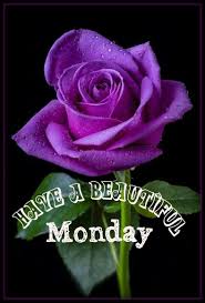 Our latest video highlighting our flower store in beautiful yardley pennsylvania. Monday Romantische Bloemen Planten Bloemen