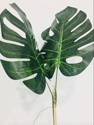 Assalamualaikum, terima kasih atas tempahan anda. Diy Pokok Viral Untuk Dekorasi Hari Raya Dengan Total Hangus Hanya Rm24 Sahaja