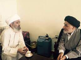 السيد جعفر مرتضى الشيخ مفيد الفقيه electronic products goggles vr goggle