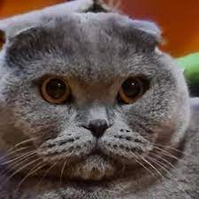 Cand un om e mai mult decat un om? Vom Sau V Om Discuta Brainly Ro