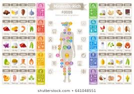 Vitamin Chart Stock Illustrations Images Vectors