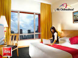 Pin On Tips Chihuahua