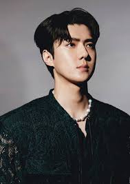 엑소 스페셜 앨범 'don't fight the ì„¸í›ˆ ë‚˜ë¬´ìœ„í‚¤