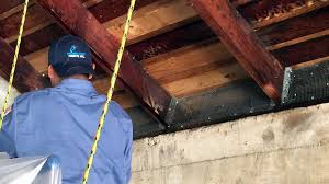 Pest control substances used must be safe and effective under the conditions of use and not be exclusion—the method of creating physical barriers against rodents and pests to prevent them from. Rodent Control Removal California