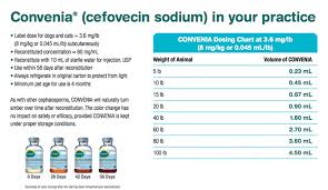 Cerenia Dosing Chart Dogs 2019