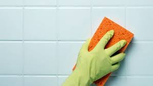 Küflerin evlerde banyolar, çöp kapakları, yastıklar, halılar, kirli ve ıslak çamaşırlar, tavan arası … Banyodaki Fayanslar Arasindaki Dikisler Nasil Temizlenir Temizleme Camasir Suyu Guncelleme