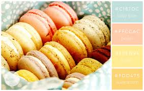 Color Combo 35 Macarons Macaroons Chocolate Sugar Cookies