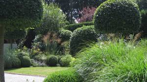 Chris Moss Gardens Garden Design Moss Garden Backyard Landscaping