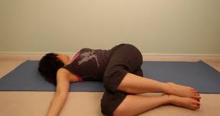8 Yoga Postures For Beginners Lexiyoga Basic Yoga Yoga Postures Yoga Video Workout