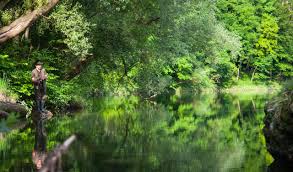 *free* shipping on qualifying offers. Neuer Naturpark Im Ybbstal Noe Orf At
