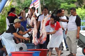 Cara memotong daging yang betul. Setiap Helai Bulu Haiwan Diberi Allah 1 Kebaikan Lakukanlah Ibadah Korban Ad Din Mstar