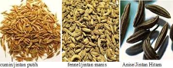 Savesave jintan hitam for later. Khasiat Jintan Inana