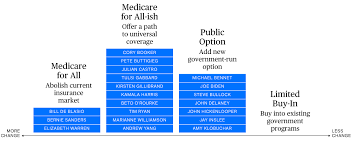 Democratic Partys 2020 Health Care Battle Visualized