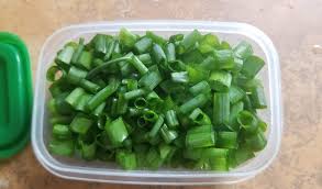 How do you grow onions indoors? Regrowing Green Onion From Kitchen Scraps