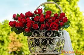 Kumpulan gambar tentang gambar bunga ros biru, klik untuk melihat koleksi gambar lain di gambar bunga mawar biru mawar biru bunga bunga eksotis. Maksud Bunga Ros Mengikut Warnanya