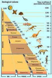 Pin En Geology Because Pictures