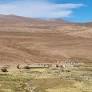 Jujuy: devuelven a comunidades indígenas el cuerpo momificado del “Niño del Chañi” tras más de un siglo