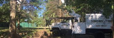We promise quality service and satisfaction to our customers. Simons Tree Service