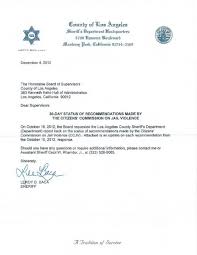 Los Angeles Citizen Commission Jail Violence 30 Day Status