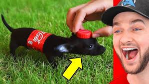 Optibotimus Reviews: Transformers Titans Return Legend Class BRAWN