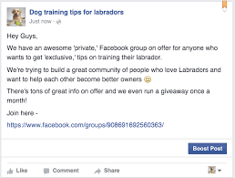 Maybe you would like to learn more about one of these? How To Grow A Successful And Engaged Facebook Group
