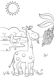 ¡vamos a colorear a las jirafas bebé! Bebe Jirafa Comiendo Platano Para Colorear Imprimir E Dibujar Dibujos Colorear Com