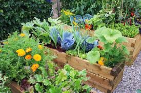 1001 Idees Diy Pour Fabriquer Une Jardiniere Ou Potager En Palette Comment Faire Un Potager Petit Jardin Faire Un Potager