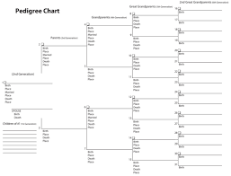 Pedigree Chart Download Silver Family