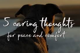 We did not find results for: How Will You Know When It S Time To Euthanize Your Dog 5 Caring Heartfelt Messages Dr Buzby S Toegrips For Dogs