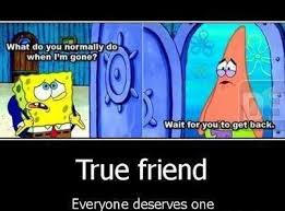 Sponge Bob Spongebob Funny Spongebob True Friendship