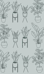 Plants Sketch Plant Sketches Plant Drawing Plant Doodle